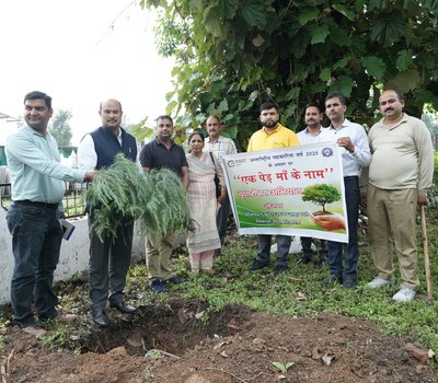 एक पेड़ माँ के नाम