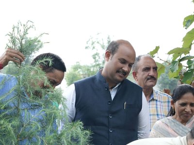 एक पेड़ माँ के नाम